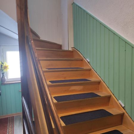 Kleine Gemuetliche Wohnung Цвікау Екстер'єр фото