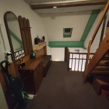 Kleine Gemuetliche Wohnung Цвікау Екстер'єр фото