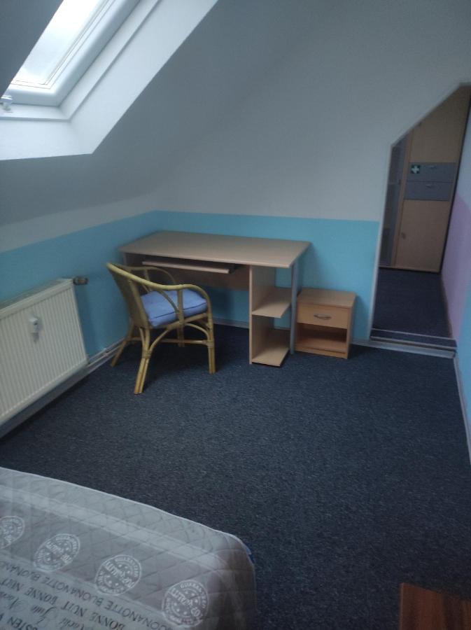 Kleine Gemuetliche Wohnung Цвікау Екстер'єр фото