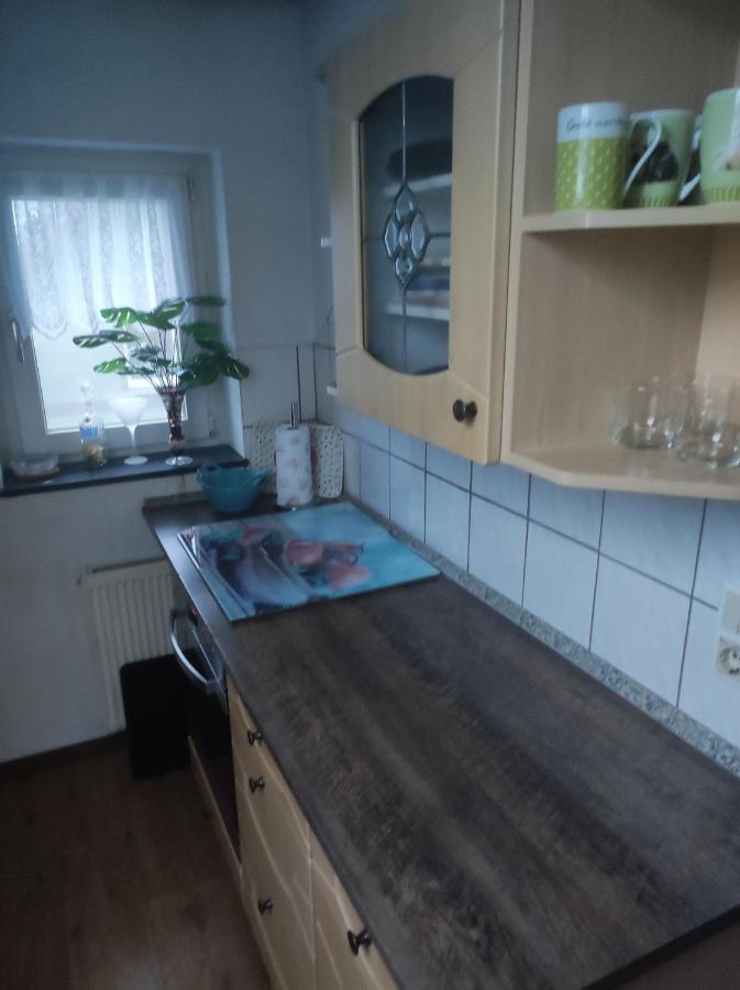 Kleine Gemuetliche Wohnung Цвікау Екстер'єр фото