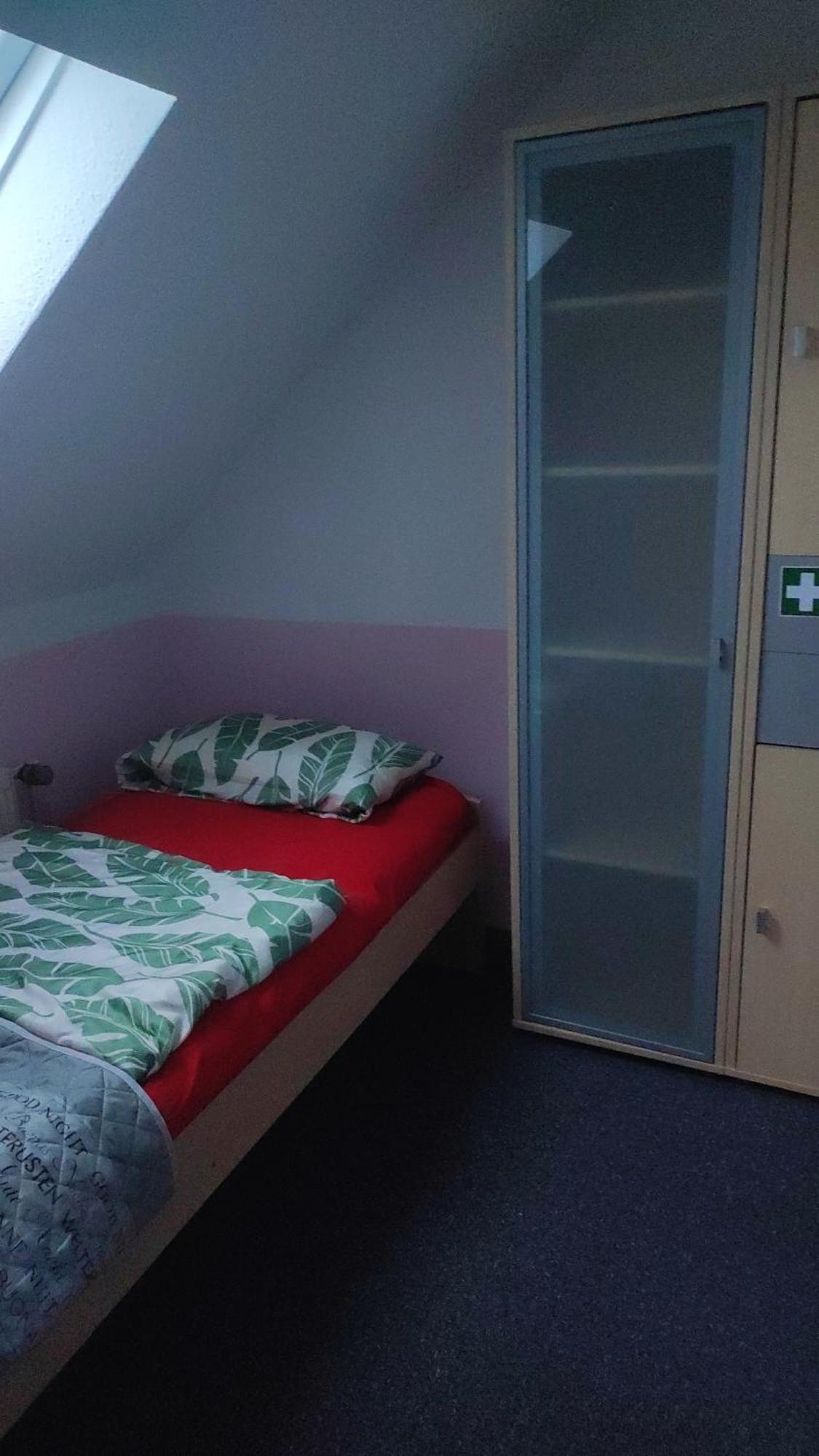 Kleine Gemuetliche Wohnung Цвікау Екстер'єр фото